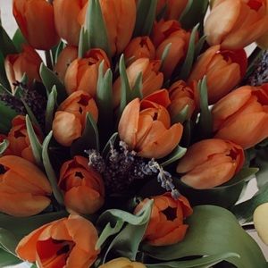 Meet your Posher, Olga